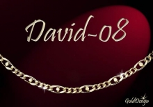 David 08 - řetízek zlacený